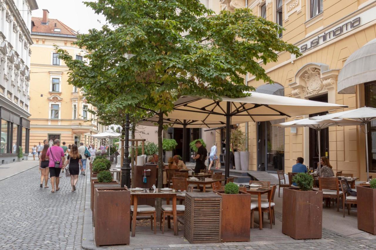 Central Apartment With Private Garage Lublana Zewnętrze zdjęcie